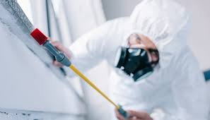 Professional Pest Control in Butler, AL